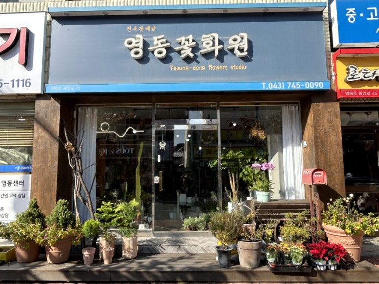 영동화원 이미지
