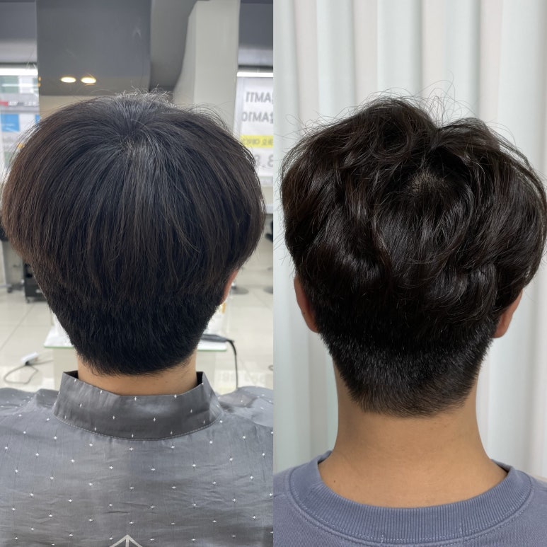 라비드헤어 이미지