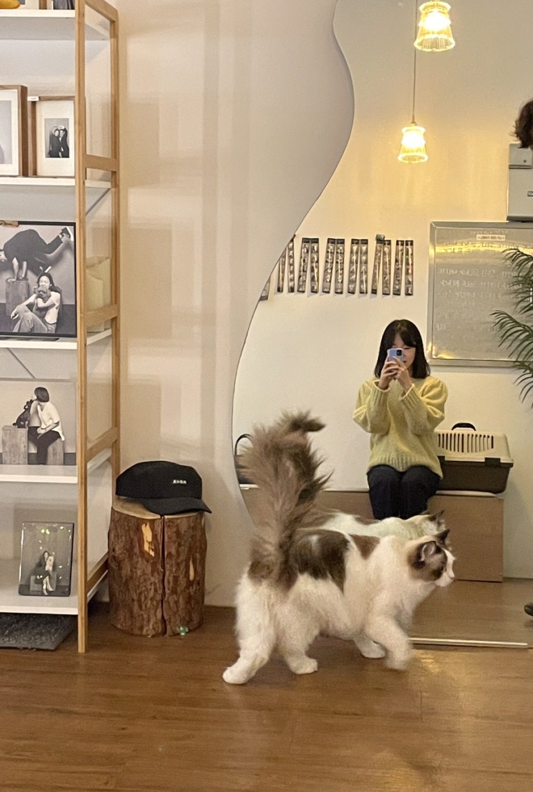 흑백사장청주점 이미지