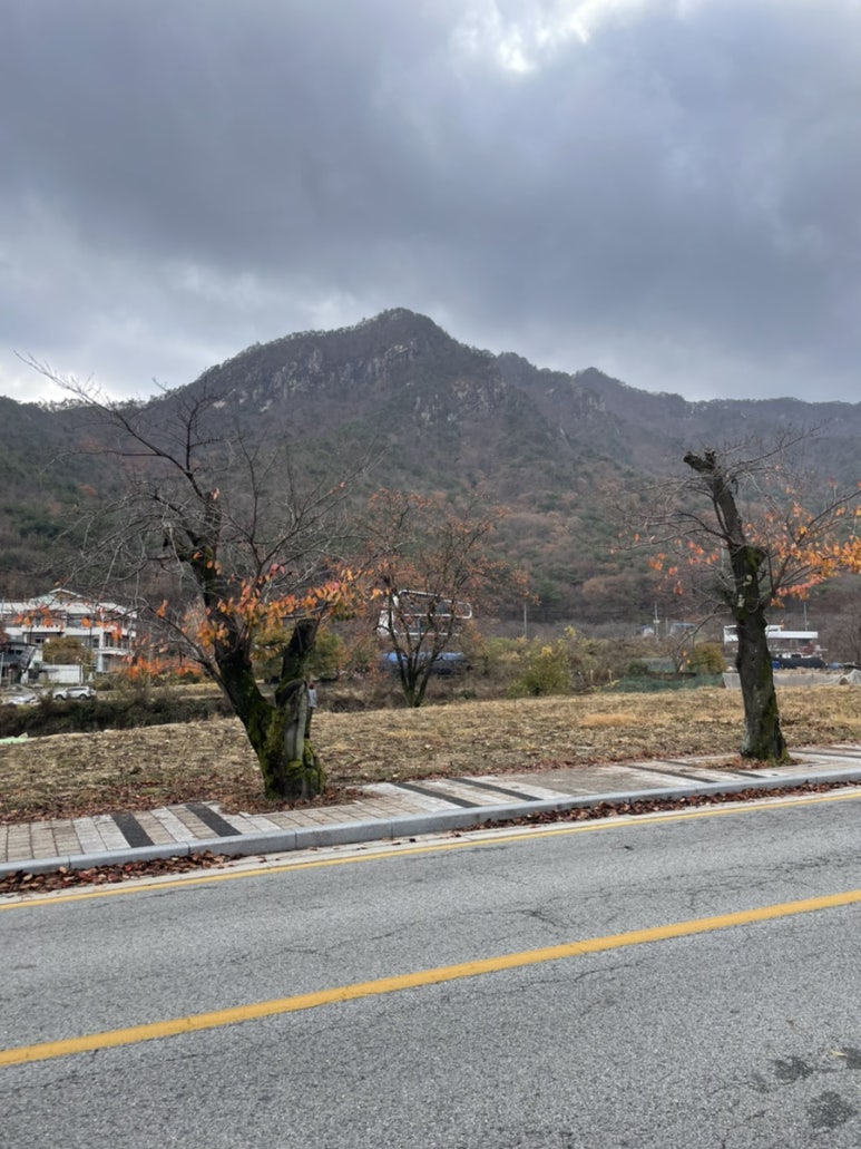 삼부자&동그리 이미지
