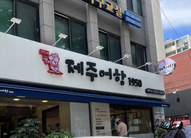 제주어항1950 이미지