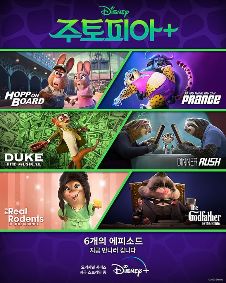 주토피아스튜디오 이미지