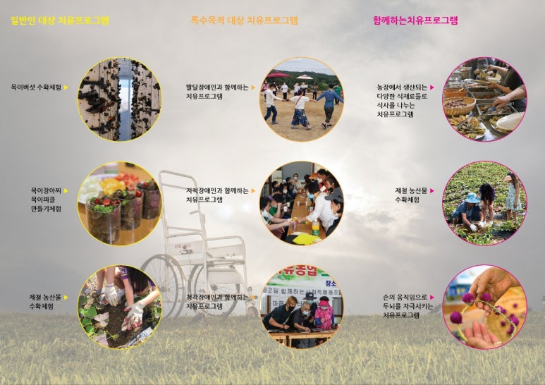 더힐링팜 이미지
