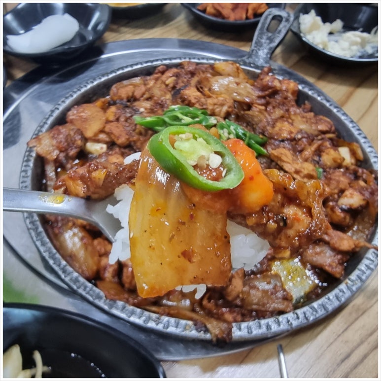 촌돼지 이미지