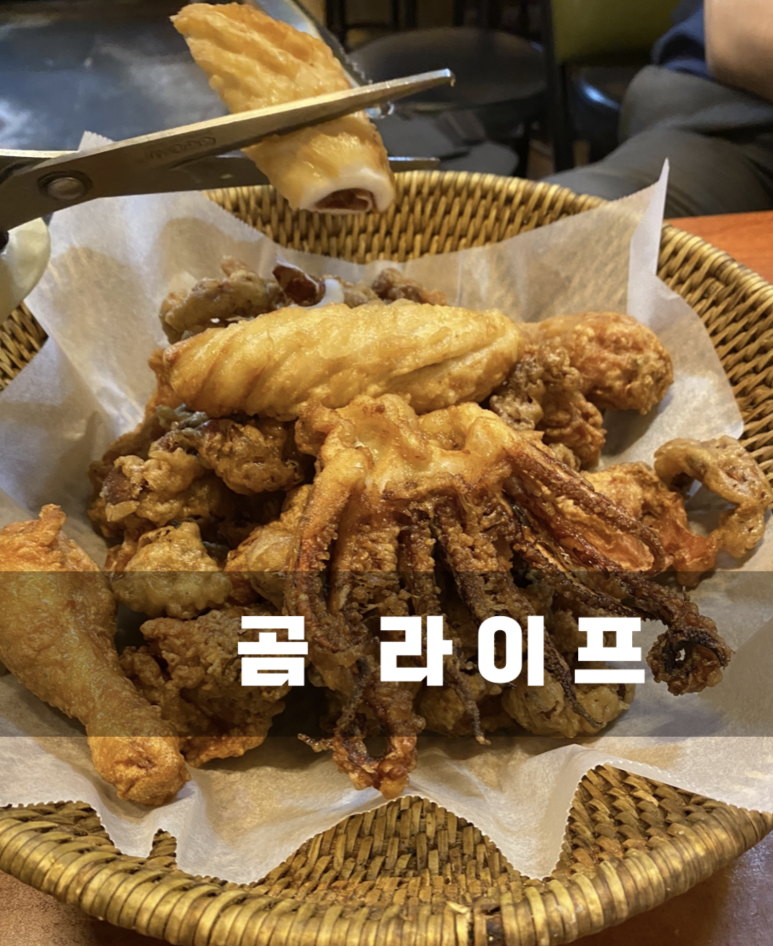 곰커피호프 이미지