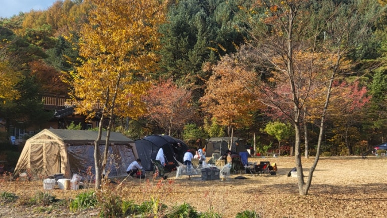 황학동캠핑장 이미지