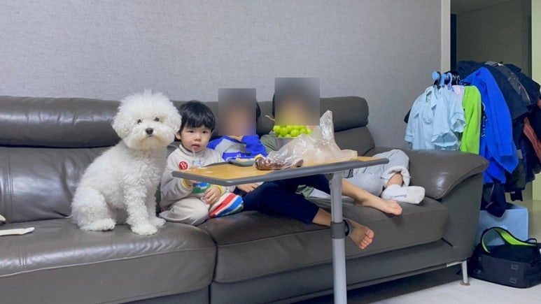 하루필름보정동카페 이미지
