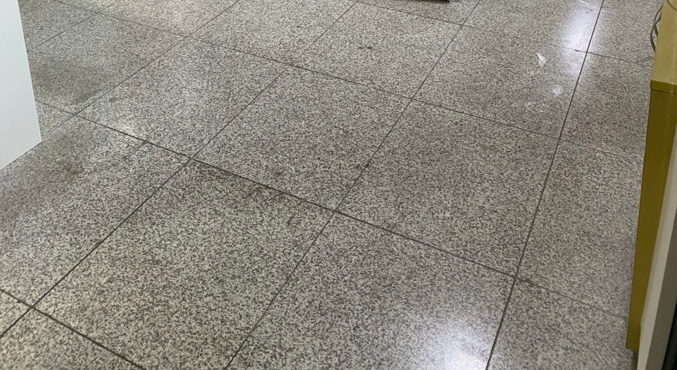 노란유치원 이미지