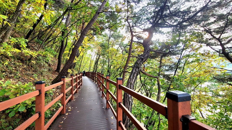 제천커피;스낵 이미지