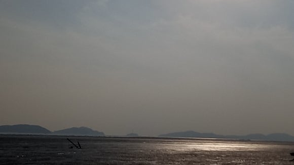 어부바식품 이미지