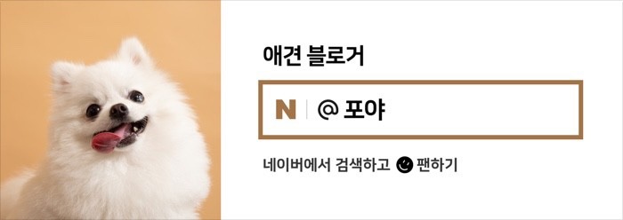 퍼피포레스트 이미지