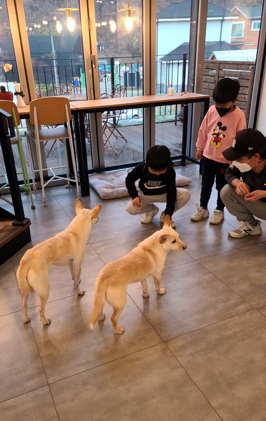 감꽃별아이들 이미지