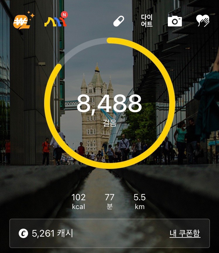 엔돌픽 이미지