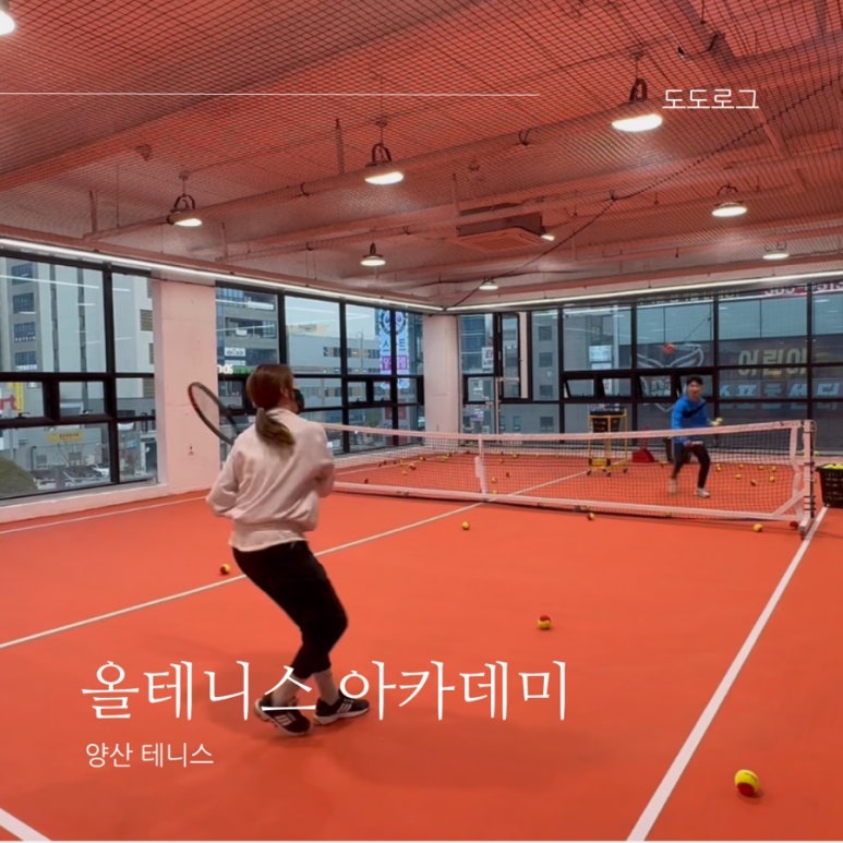 올테니스아카데미 이미지