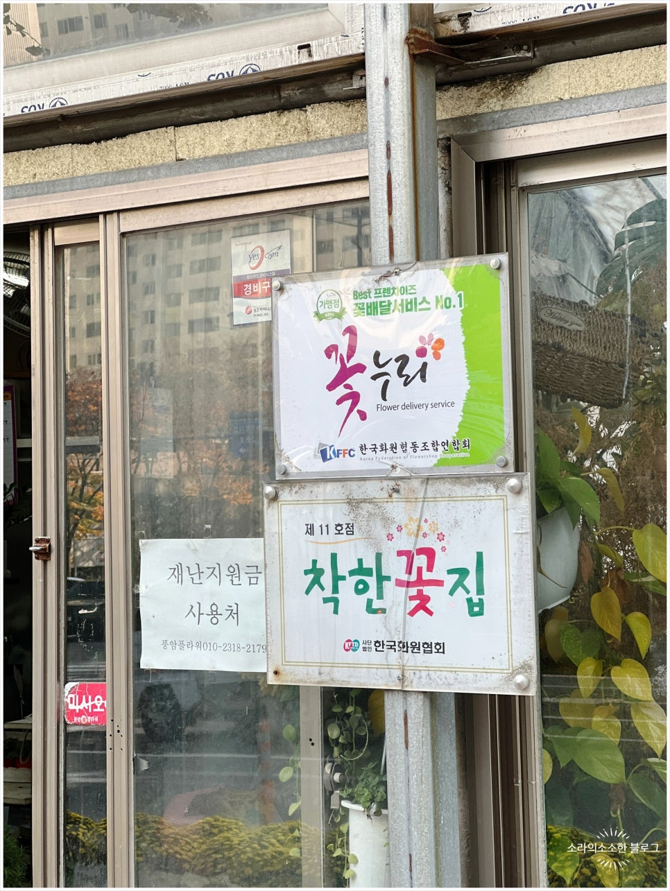 풍암플라워 이미지