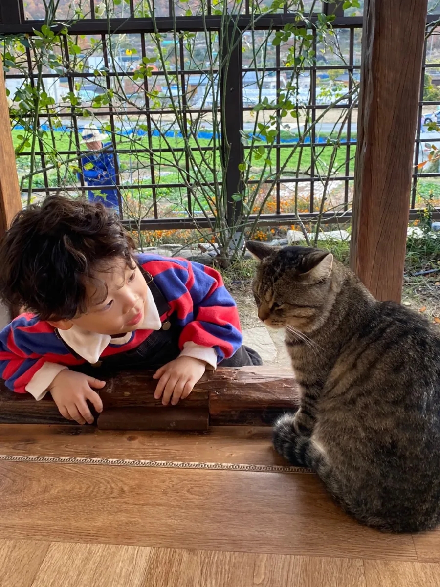 까페시우 이미지