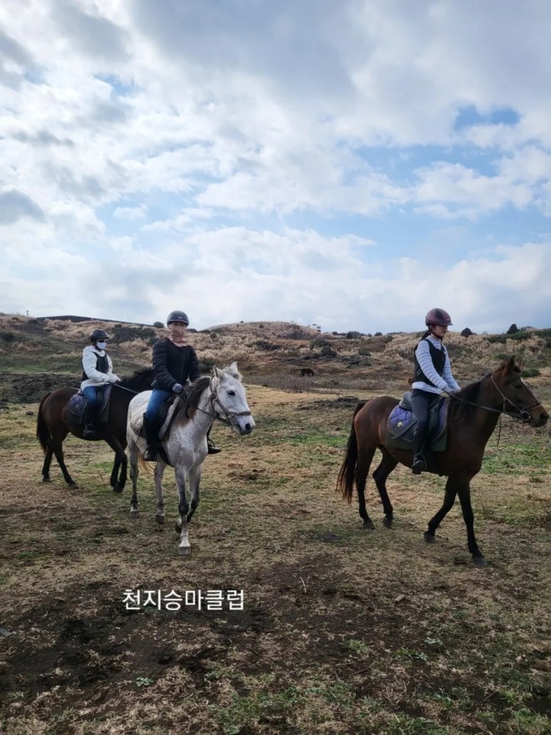 천지승마클럽 이미지