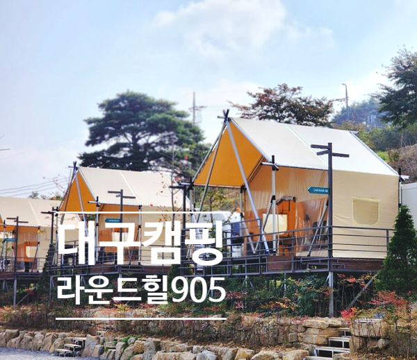 라운드힐 905 이미지
