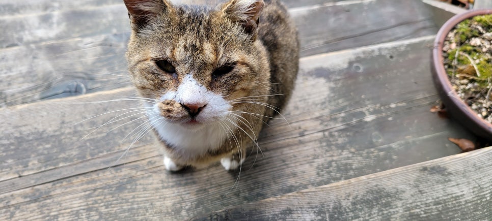 카페별산대 이미지