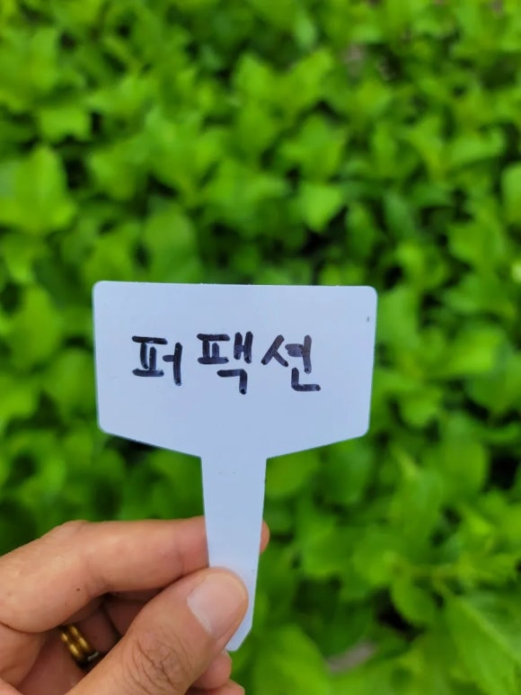 오성농원 이미지
