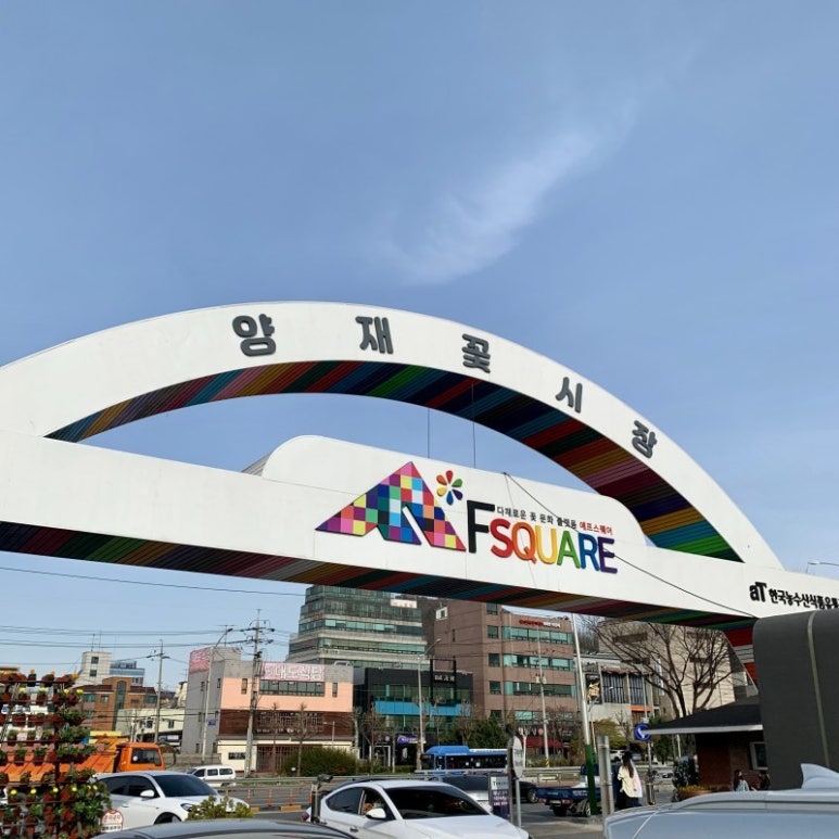 스타꽃화원 이미지