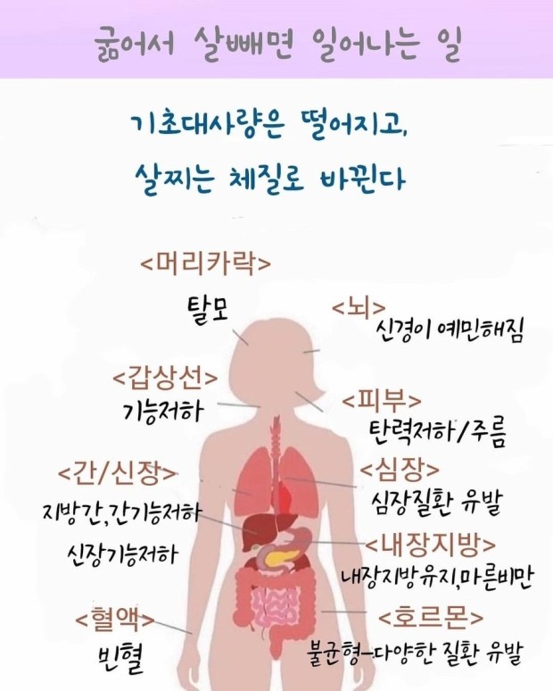부산면가 이미지
