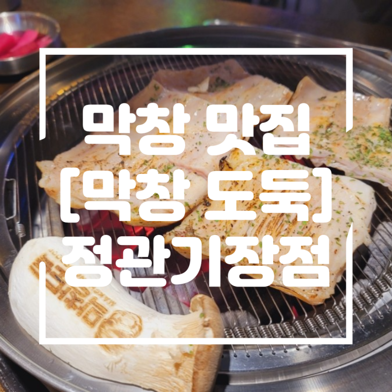 막창도둑기장 이미지