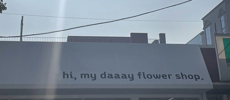 하이마이데이 이미지