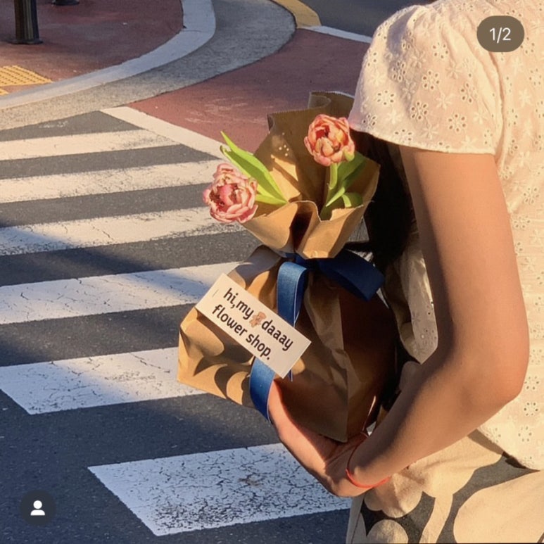 하이마이데이 이미지
