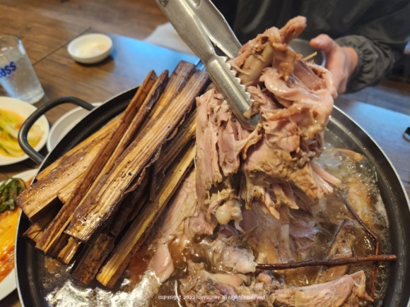돈오리 이미지
