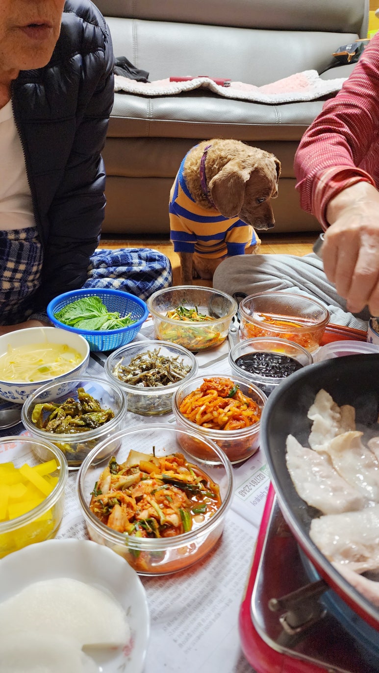 까치정육점 이미지