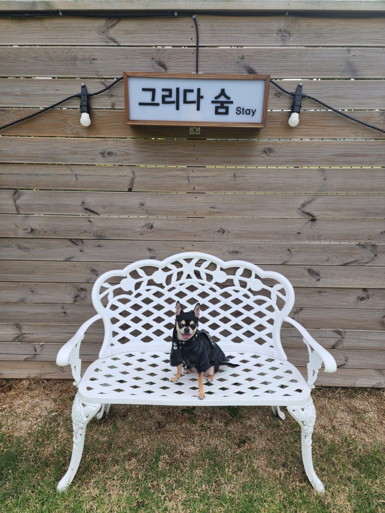 다숨 이미지