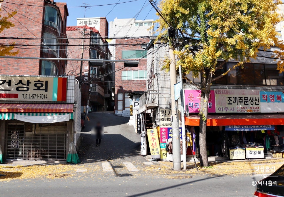 금광주단 이미지