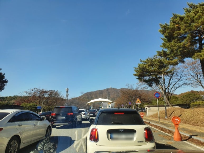 국수나무독립기념관점 이미지
