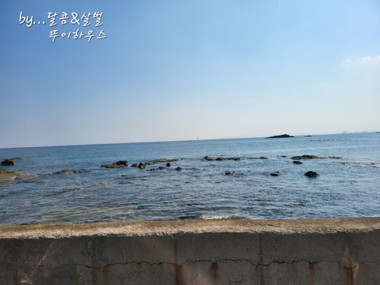 도도커피숍 이미지