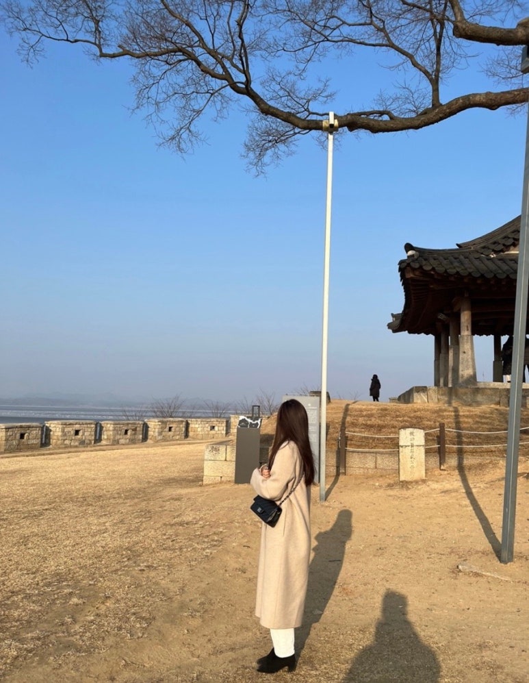 젬마코스모 이미지