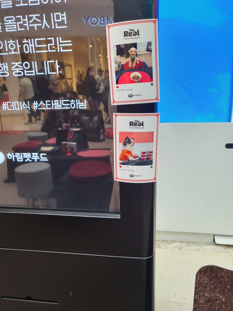 유니스타 이미지