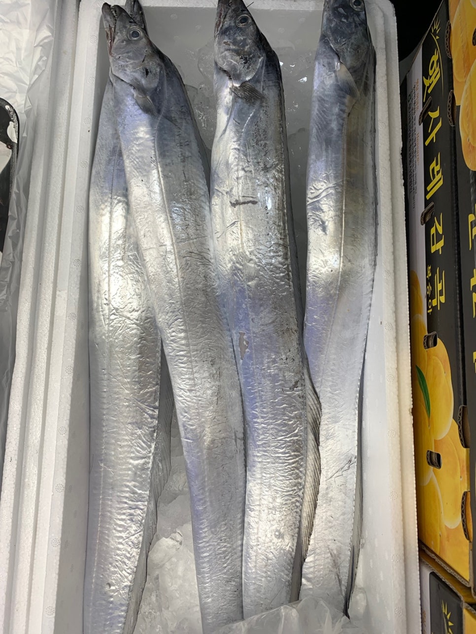 싱싱과일수산물 이미지