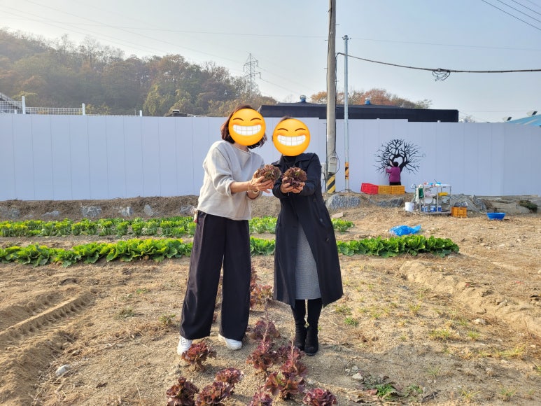 더힐링팜 이미지
