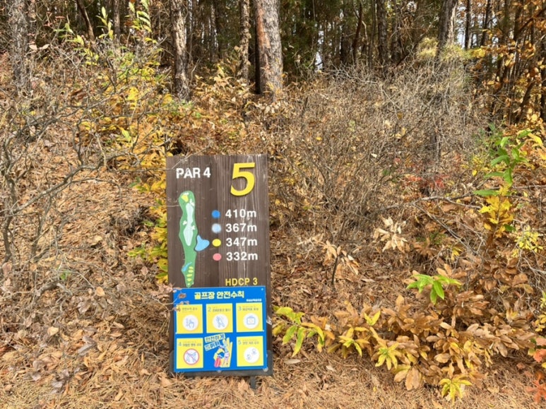 남코스5번 이미지