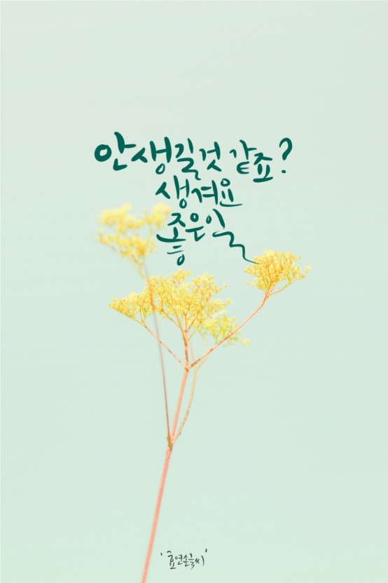 기통찬족발 이미지