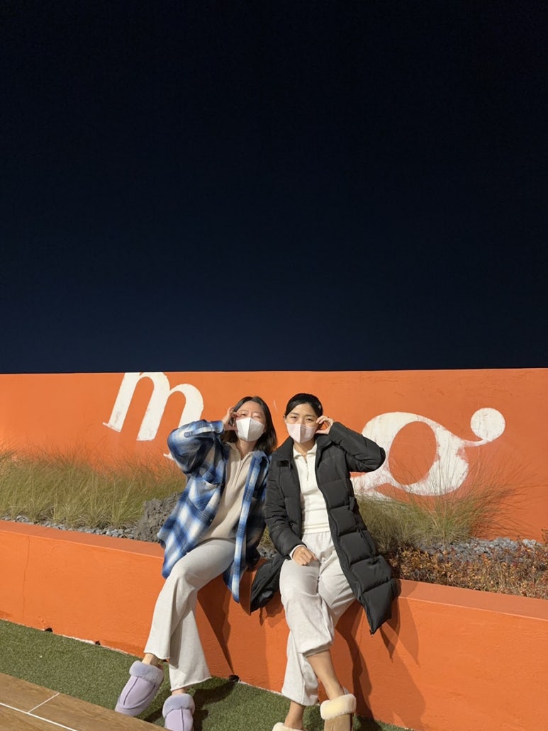 마고플레인 비스타 이미지