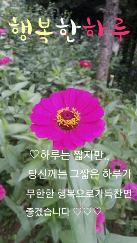 나모바버샵 이미지