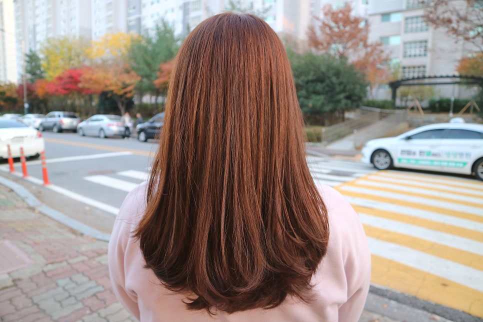 살롱드솔 이미지