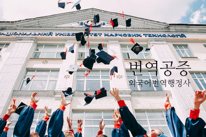 엘케이행정사무소 이미지