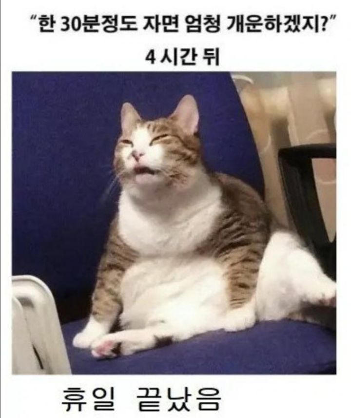 냠냠 이미지