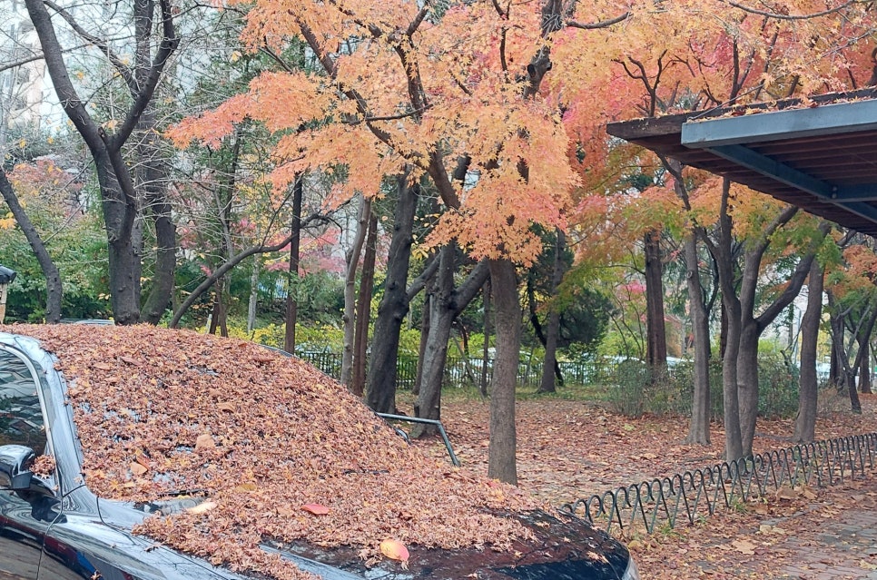 삼일농산 이미지
