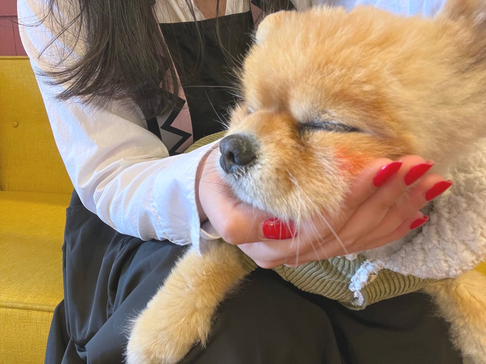 한하루네일 이미지