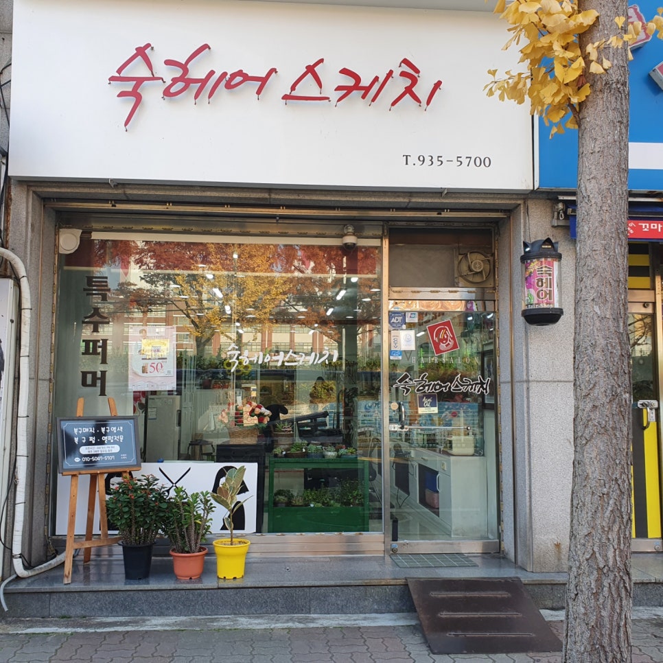숙 미용실 이미지
