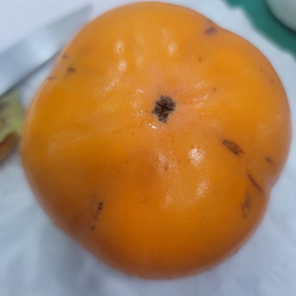 롯데가스 이미지